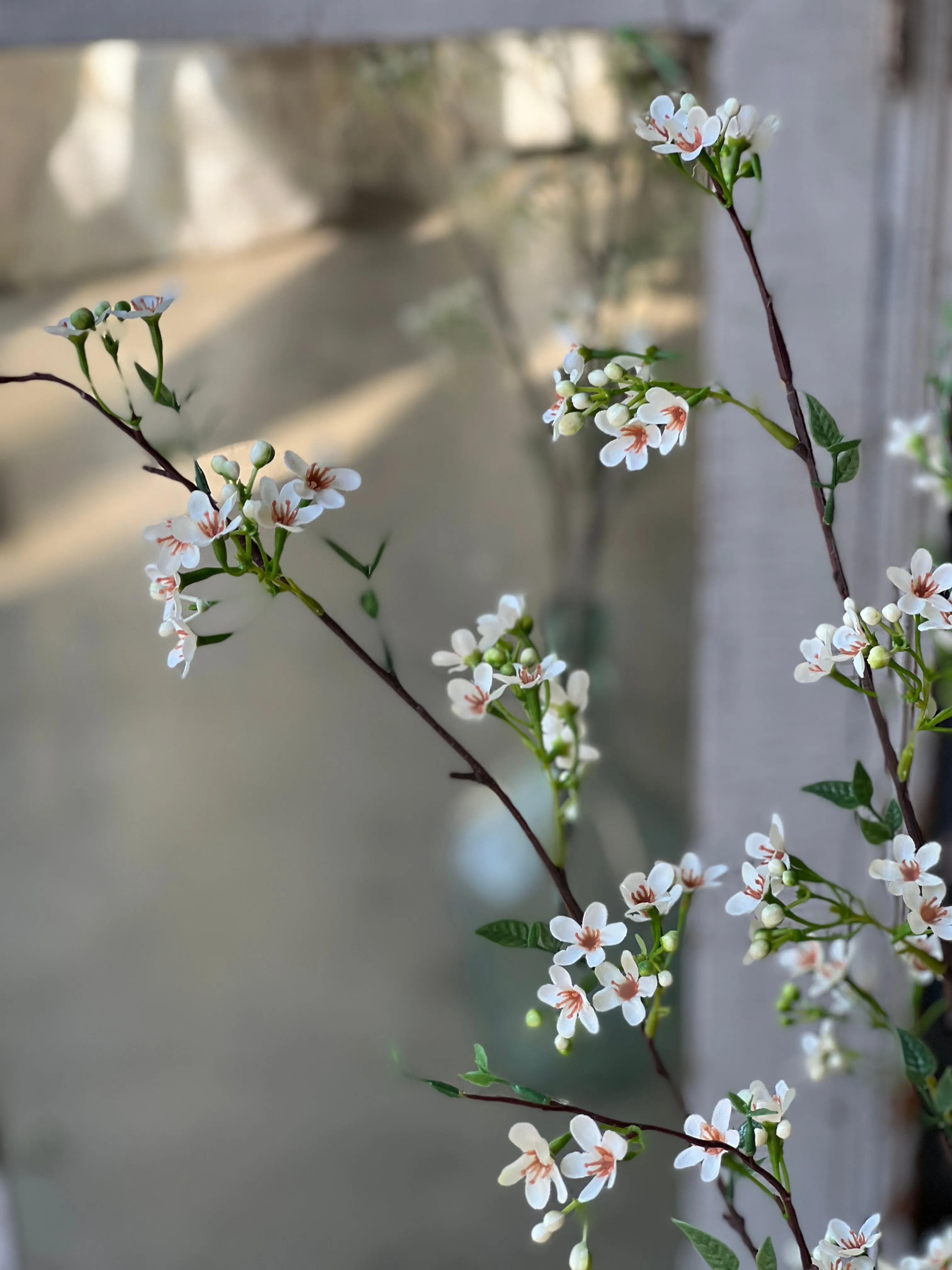 Bellevue Blossom Spray | 36" | Cream | NOT CURRENTLY IN STOCK - Spring 2025
